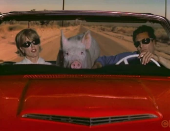 Hero Pig Goes Hog Wild!