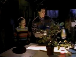 The Tale of the Reanimator
