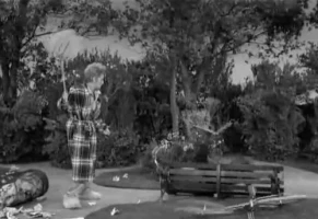 Lucy and the Runaway Butterfly