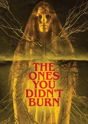 DVD Cover (Jinga Films)