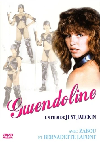 DVD Cover (France)