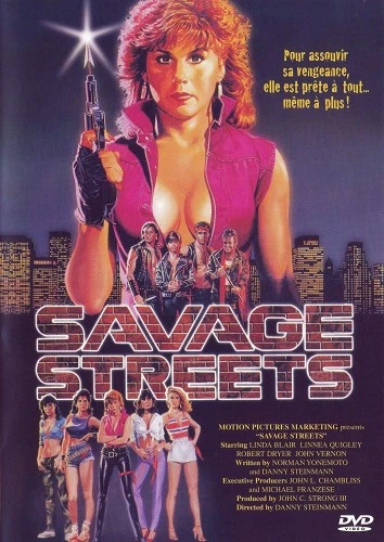 DVD Cover (France)
