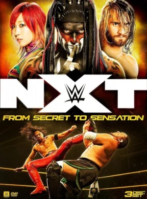 DVD Cover (WWE Home Video)