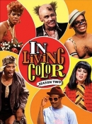 In Living Color: Season 2
