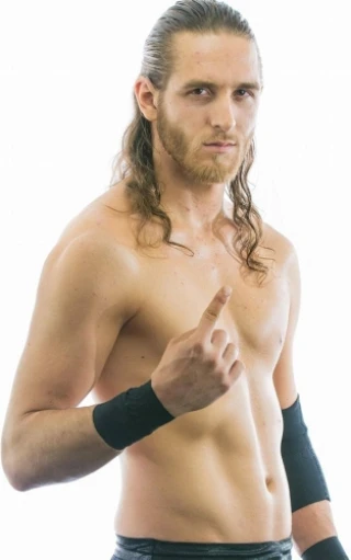 Curt Stallion