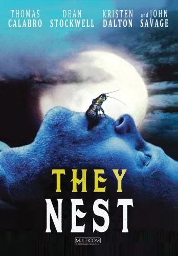 DVD Cover (Multicom)