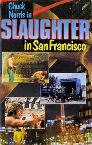 VHS Cover (Poland)
