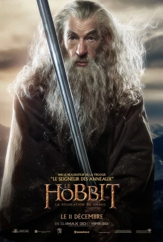 Theatrical Poster (France)