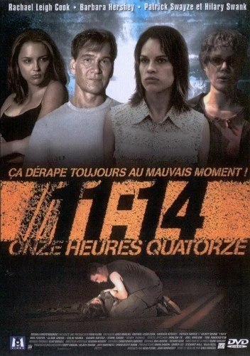 DVD Cover (France)
