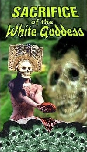 VHS Cover (Camp Motion Pictures)