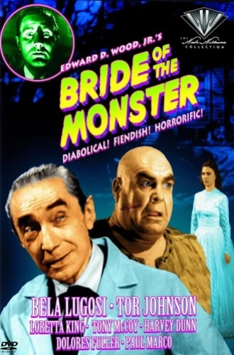 DVD Cover (Goodtimes)