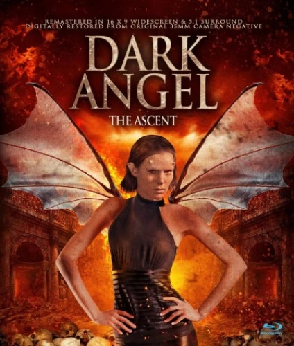 Blu-Ray Cover (Full Moon Pictures)