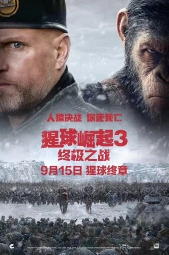 Theatrical Poster (China)