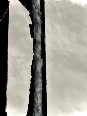 Life (and the Hill)