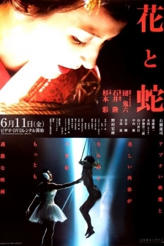 Theatrical Poster (Japan)