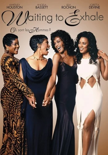 DVD Cover (France)