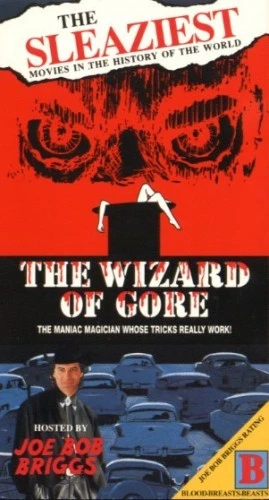 VHS Cover (The Sleaziest Movies)