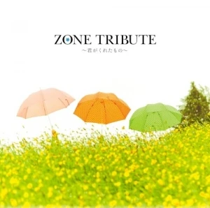 ZONEトリビュート〜君がくれたもの〜