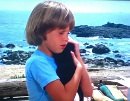 Little Boy Lost