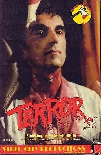 VHS Cover (Video City)