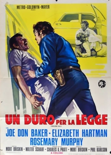 Theatrical Poster (France)