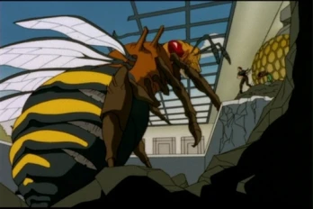 Hive