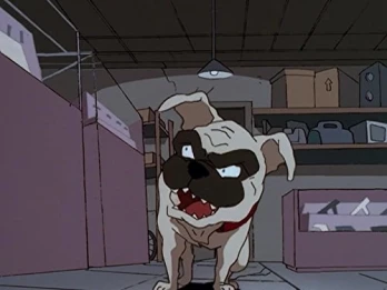 The Irritable Bow-Wow Syndrome