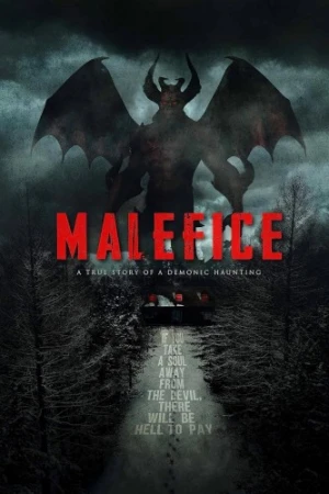 DVD Cover (Synergetic Distribution)