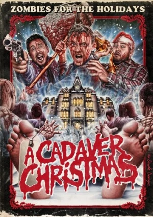 DVD Cover (Level 33 Entertainment)