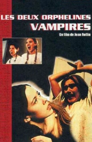 DVD Cover (France)