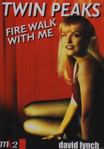 DVD Cover (France)