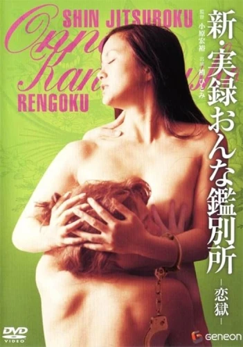 DVD Cover (Japan)