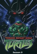 Teenage Mutant Ninja Turtles: Season 3