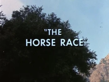 The Horse Race