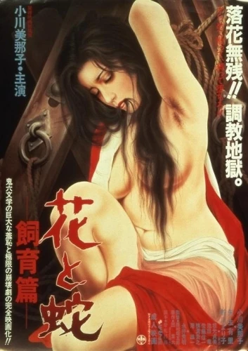 Theatrical Poster (Japan)