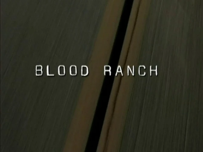 Title Card