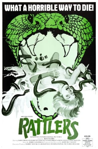Theatrical Poster