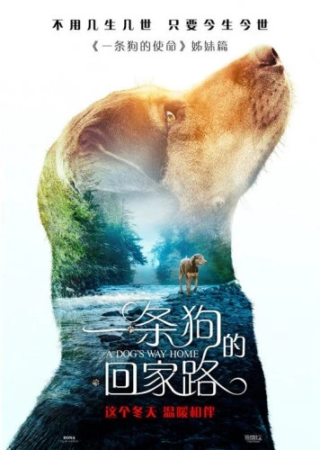 Theatrical Poster (Japan)
