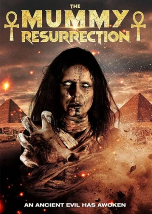 DVD Cover (High Fliers Films)