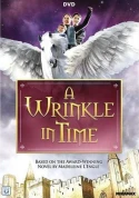 A Wrinkle In Time