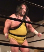 Tarzan Goto