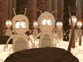 Lice Capades