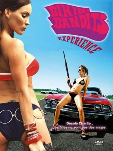 DVD Cover (France)