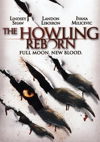 DVD Cover (Lions Gate)