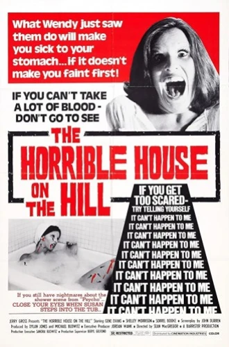 Theatrical Poster (USA)