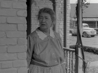 Kay Lavelle