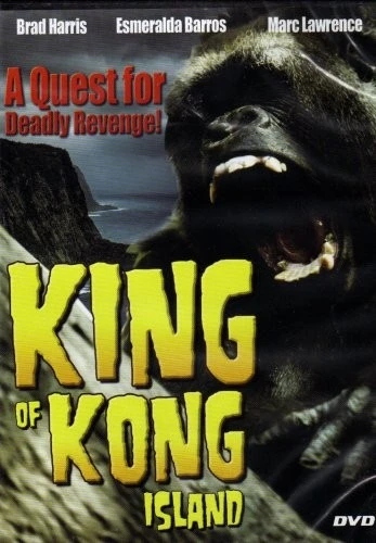 DVD Cover (Digiview)