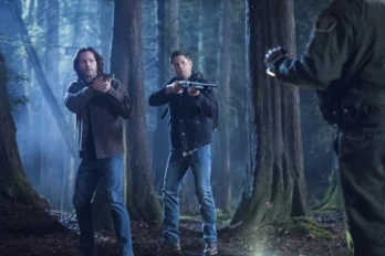 Don't Go in the Woods