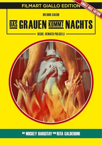 DVD Cover (Germany)