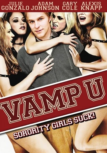DVD Cover (VVS Films)